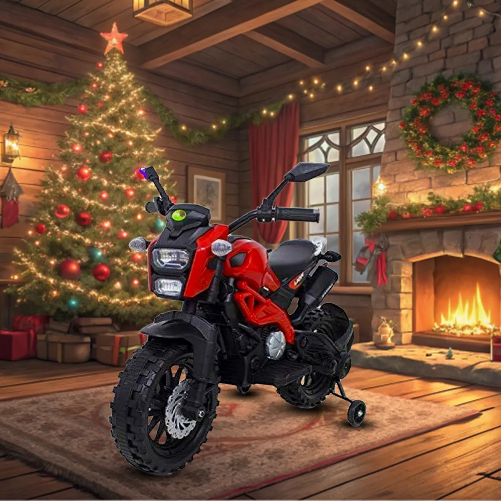 Rideon Dirt Bike with Hand Accelerator DLS01 Adventure Awaits